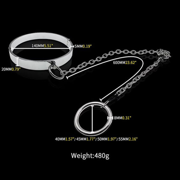 Metal Slave Sexual Restraint Neck Collar with Cock Ring Cbt Bdsm Kits