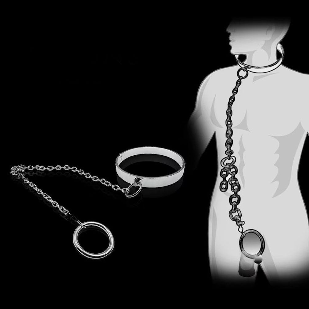 Metal Slave Sexual Restraint Neck Collar with Cock Ring Cbt Bdsm Kits