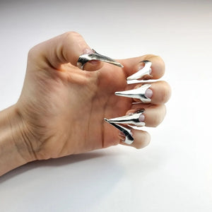 10 Nails Claw Rings Finger Claws Nails, Silver Claw Ring Finger Armor Ring