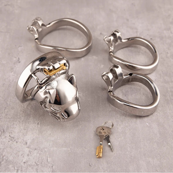 Penis Cock Cage Stainless Steel Penis Ring Lock Bondage BDSM Chastity Device For Men