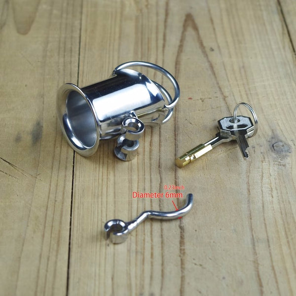 PA Chastity Cage Prince Albert Chastity Lock Penis Bondage Cock Piercing Locks For Men