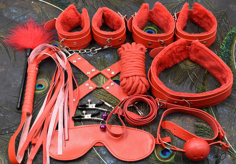 14 Piece Bondage BDSM Set Black, Leather, Sex Toys, Whip, Restraints, Cuffs, Gag, Adult, Rope