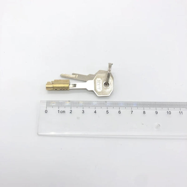 Copper Stealth Lock Male Chastity Cock Cage Accessories Lock Keys for Chastity and Other Devices
