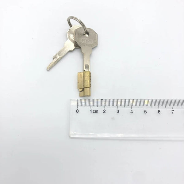 Copper Stealth Lock Male Chastity Cock Cage Accessories Lock Keys for Chastity and Other Devices