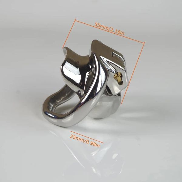 Tiny Stainless Steel Male Chastity, Mini Chastity Cage, Chastity with Invisible Lock Cock cage