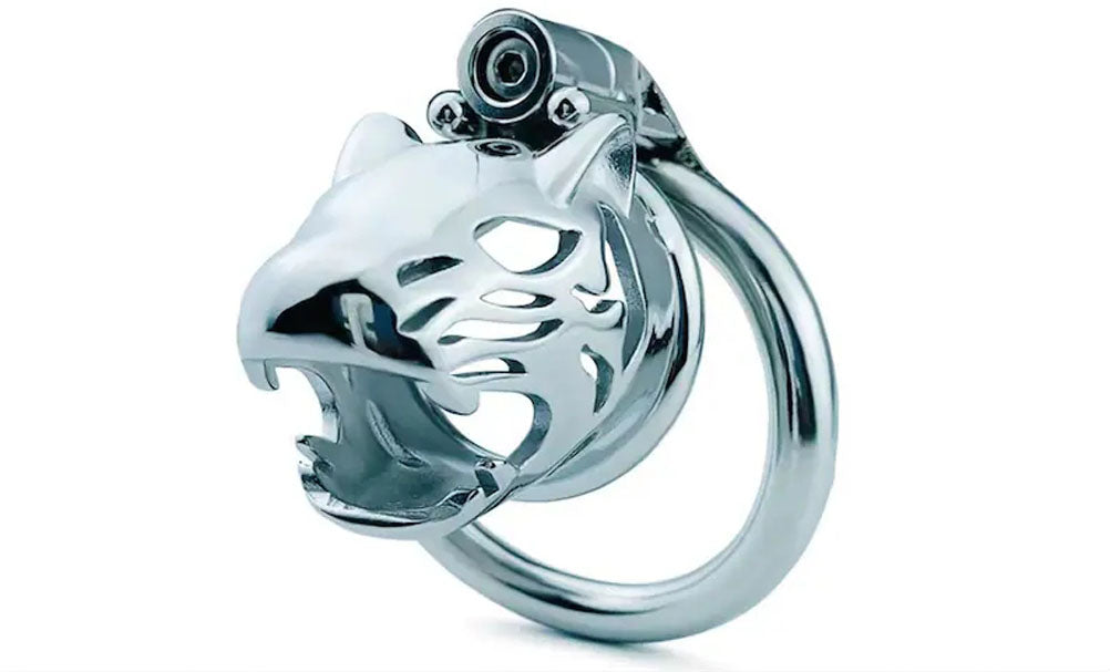 Bondage Cage Cock Cage, Inverted Plugged Cylinder Chastity Cage for Couple, Stainless Steel Cock Penis Rings